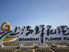 -上海鲜花港