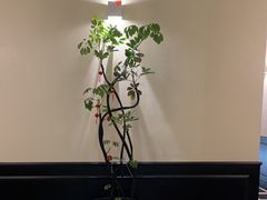 -涟LIAN·泰式按摩·MASSAGE·SPA(深业上城店)