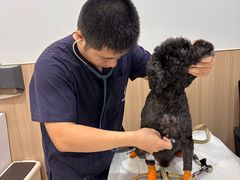 -申普宠物医院·眼科·心内科·影像科(普陀分院)