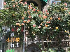 -成桂西餐厅·42年的味道(五大道疙瘩楼店)