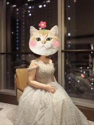 -衣贝姿婚纱礼服馆