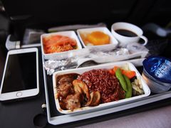 -新加坡航空公司(ION)