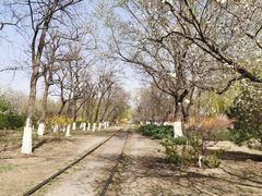 -永定河休闲森林公园