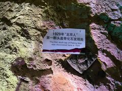 -周口店北京人遗址公园