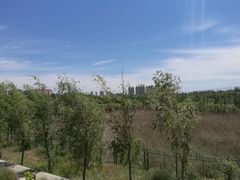 -伊犁河风景区