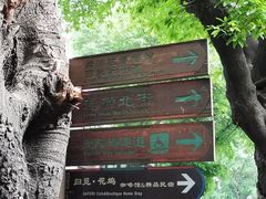 -归觅·西关小姐人文艺术馆(荔枝湾店)