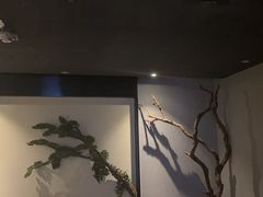 -上足·影院足道·SPA(红岭店)