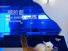 -Blue Concept Cafe&Farm·關於藍