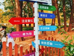 -上海共青森林公园