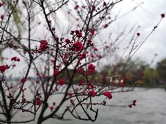 -索菲特西湖大酒店·香榭丽全日候餐厅(南山路店)