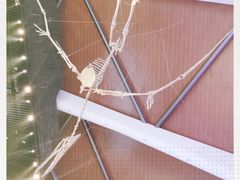 -贝林大翅鲸简餐厅(国家海洋博物馆店)