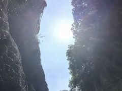 -陕西省红河谷森林公园