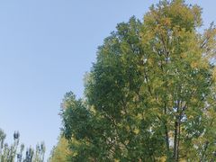 -南开大学(津南校区)