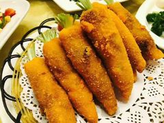 -丁老爷子苏香圆