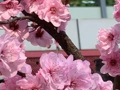 -東大方(海宁海昌路店)
