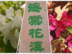 -海棠花溪(元大都城垣遗址公园)