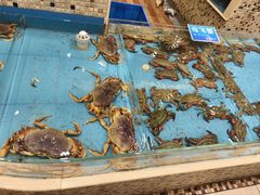 -双井轩(双井店)