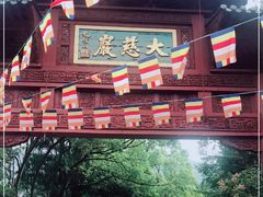 -大慈岩风景区