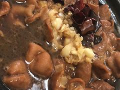 卤煮-京碗居老北京特色菜(北环东路店)