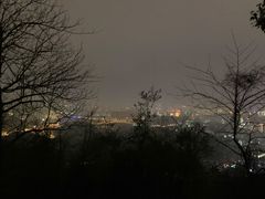 -茶颜悦色(岳麓山顶店)