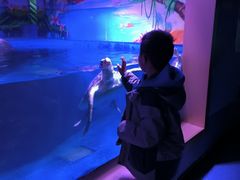-秦皇岛新澳海底世界
