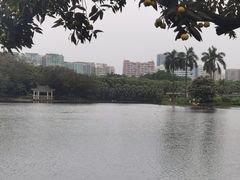 -快乐小羊·内蒙牛羊肉火锅(流花中心店)