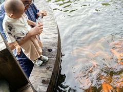 -天目湖山水园
