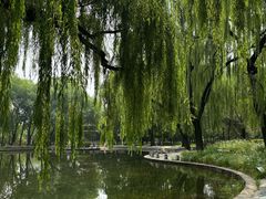 -玲珑塔公园