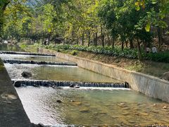 -广州白江湖森林公园