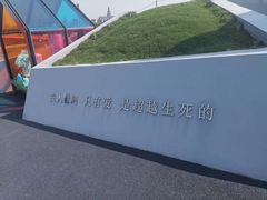 -荷兰花海