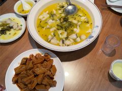 -春水锅贴·传统鲁菜(大明湖店)