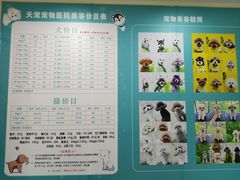 -天宠宠物医院24小时·急重症诊疗中心·全科·腔镜特色(和平分院)