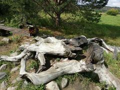 -北极村旅游风景区