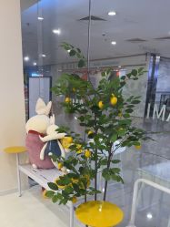 -Ami nail爱米美甲美睫