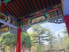 -金城公园