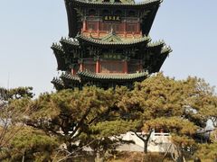 -迎泽公园