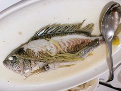 油盐焗立鱼-花城苑广府菜(侨鑫店)
