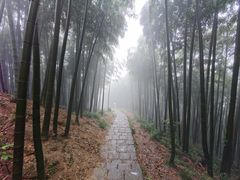-莫干山风景区