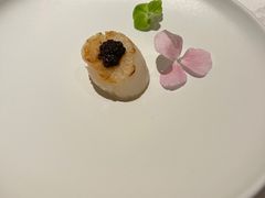 松露带子-海味观(老西门店)