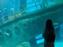 -福州罗源湾海洋世界旅游区