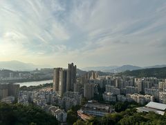 -福道