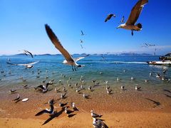 -海驴岛(荣成市)