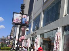 -蔼若春.传承三十年云南菜(金碧公园店)
