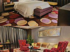 -南京禄口机场雅高铂尔曼大酒店