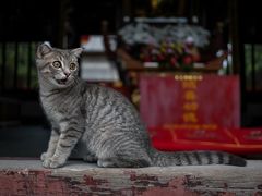 -龙华寺