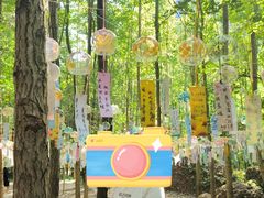 -剑门关风景区
