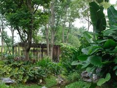 -东莞植物园