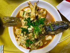 -煲来饱去冷水鱼