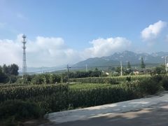 -无染寺