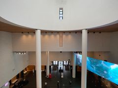 -旧金山现代艺术博物馆